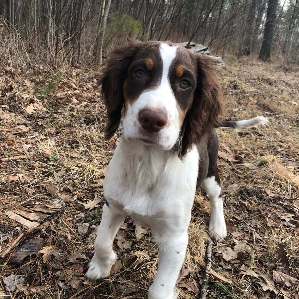 Meet your Posher, Autumn